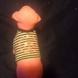 Victoria Secret Pink dog